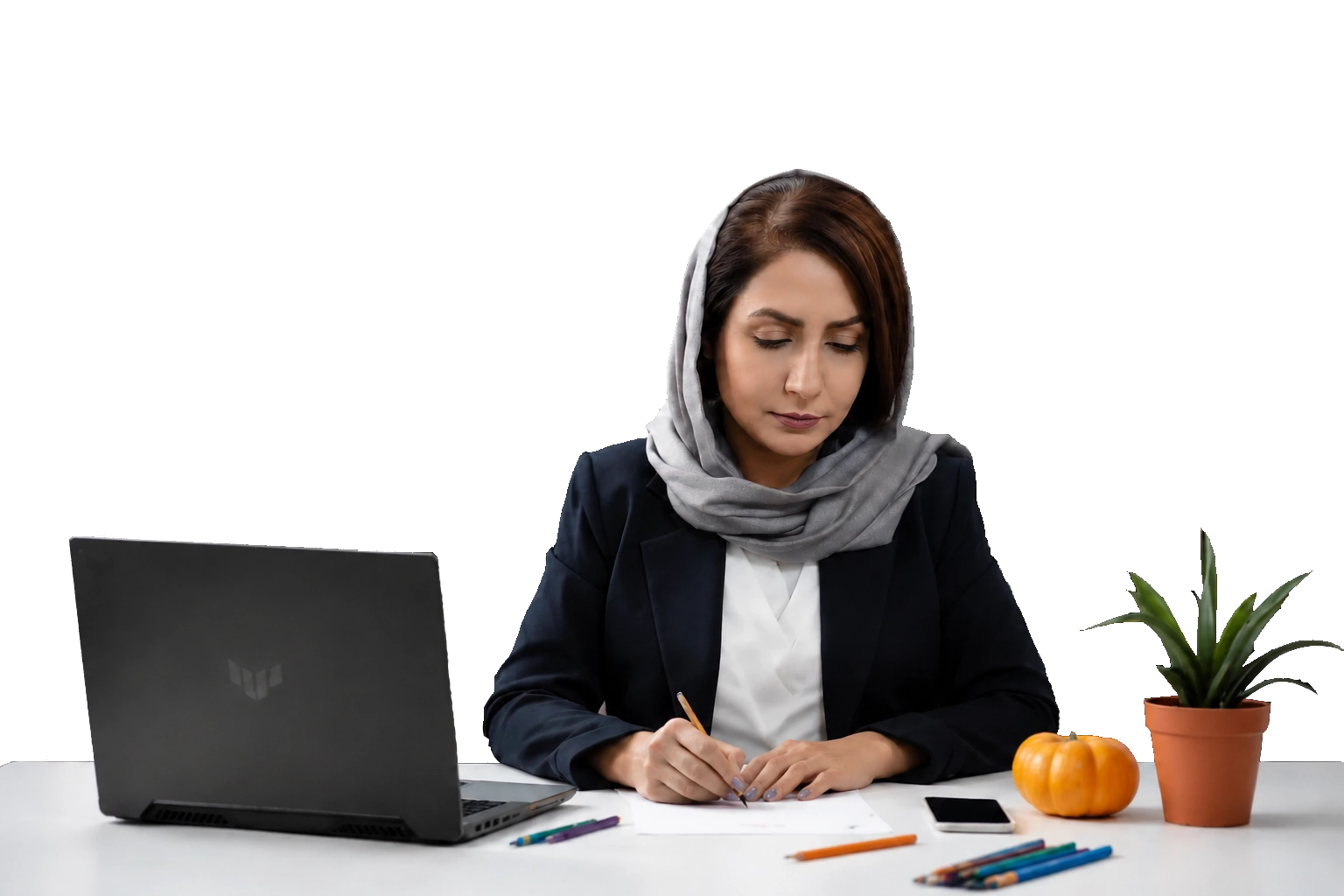 برنامه‌نویس و طراح ارشد وب، متخصص ASP.NET Core